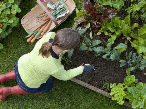 Technician inspecting and maintaining garden machinery for safety