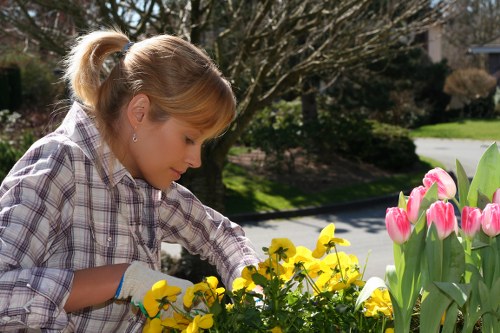Sustainable gardening practices by Gardening Services Brompton
