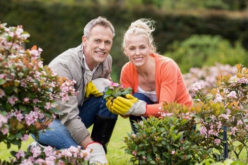 Landscape gardening and garden improvement